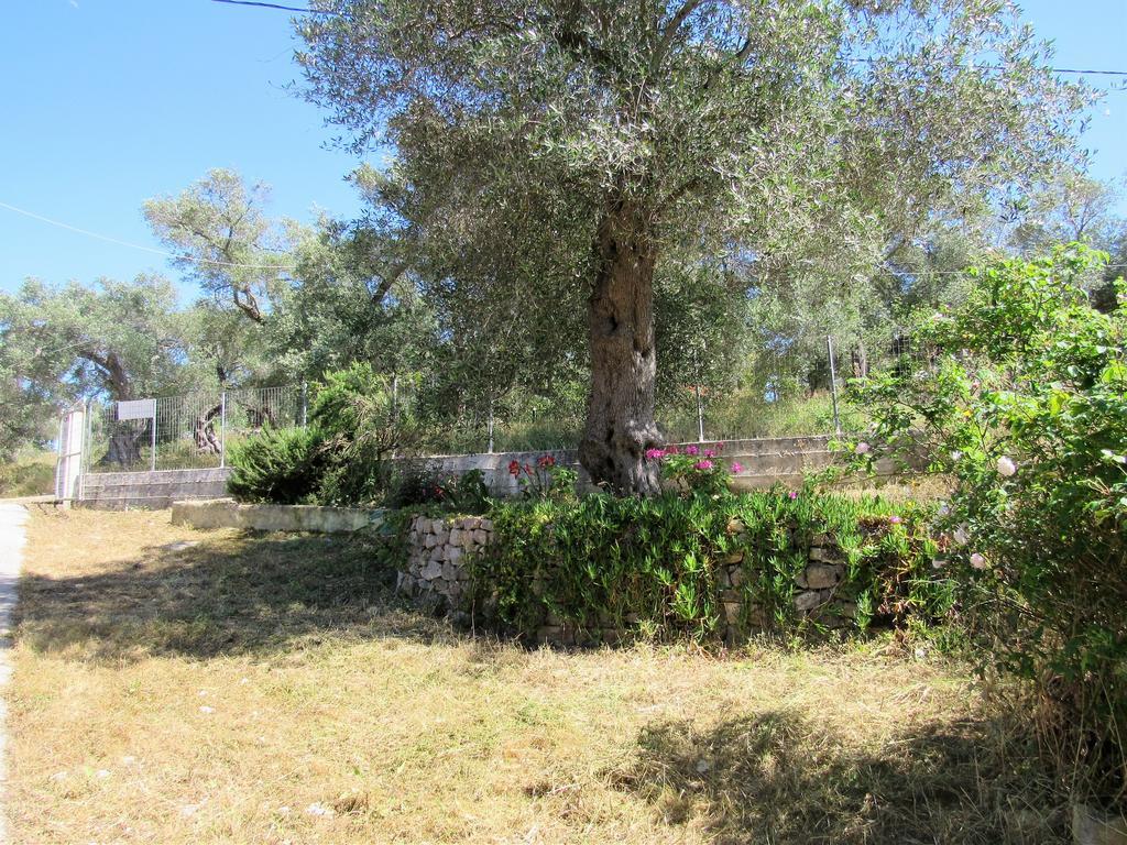 Villa Clementine Gaios Eksteriør bilde