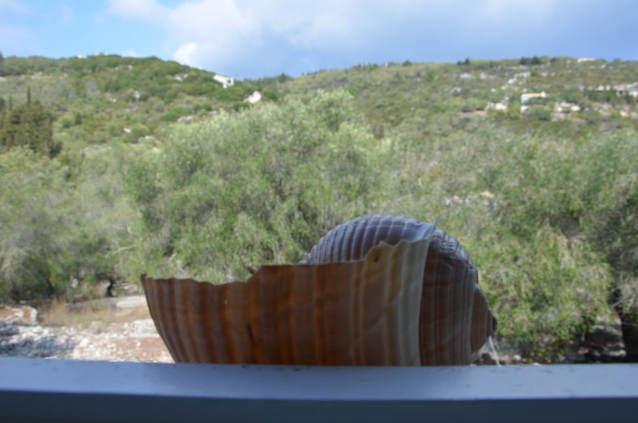 Villa Clementine Gaios Eksteriør bilde